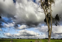 九游体育：爆冷！张本输完松岛输，松岛输完早田输，日乒三员大将止步冠军赛.