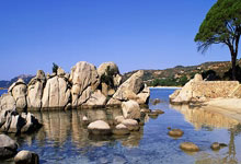 九游体育：中国短道速滑队：亚冬会的目标是每金必争！央视新闻客户端.